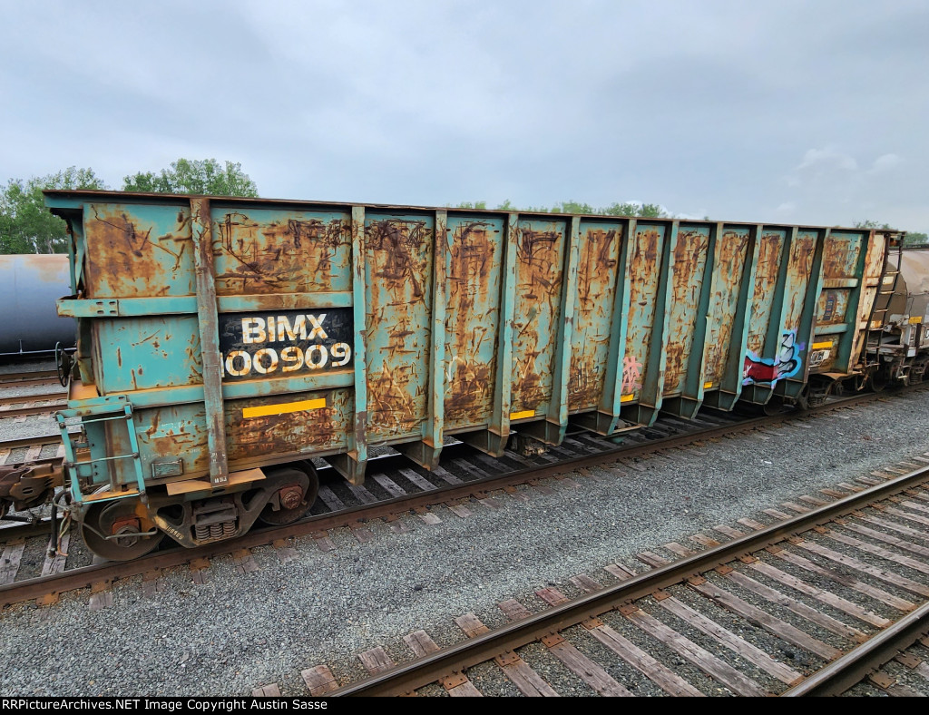 BIMX 100909